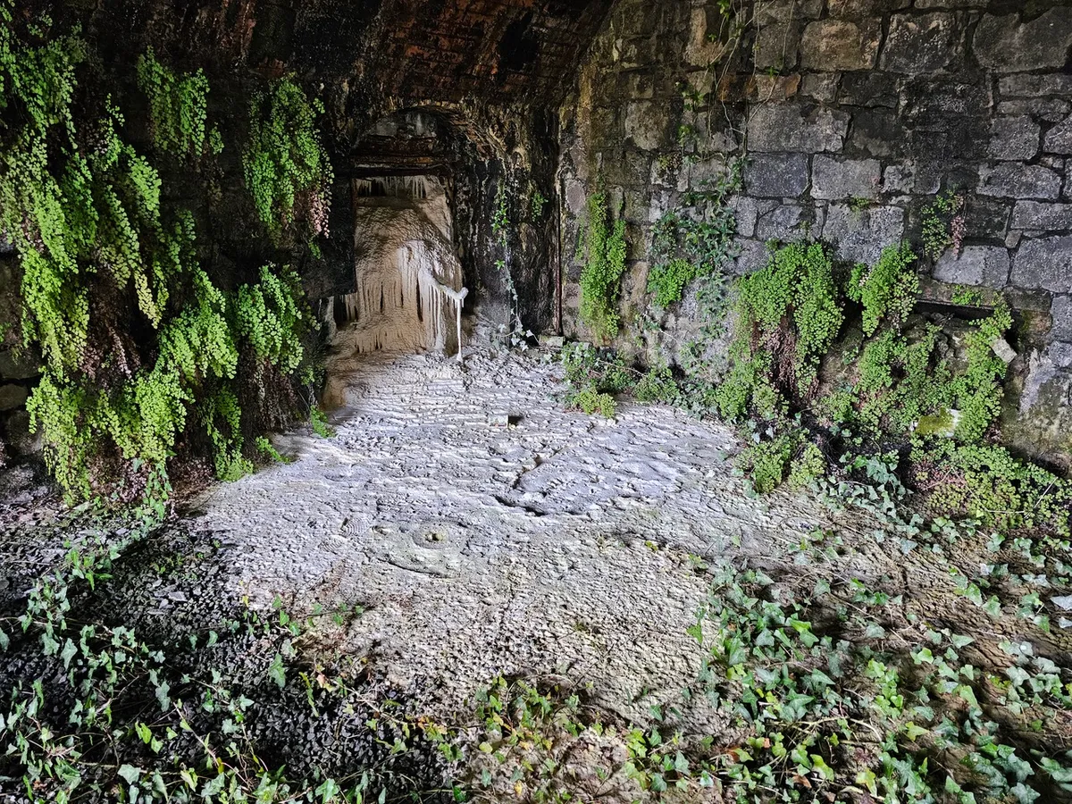 Gallery image