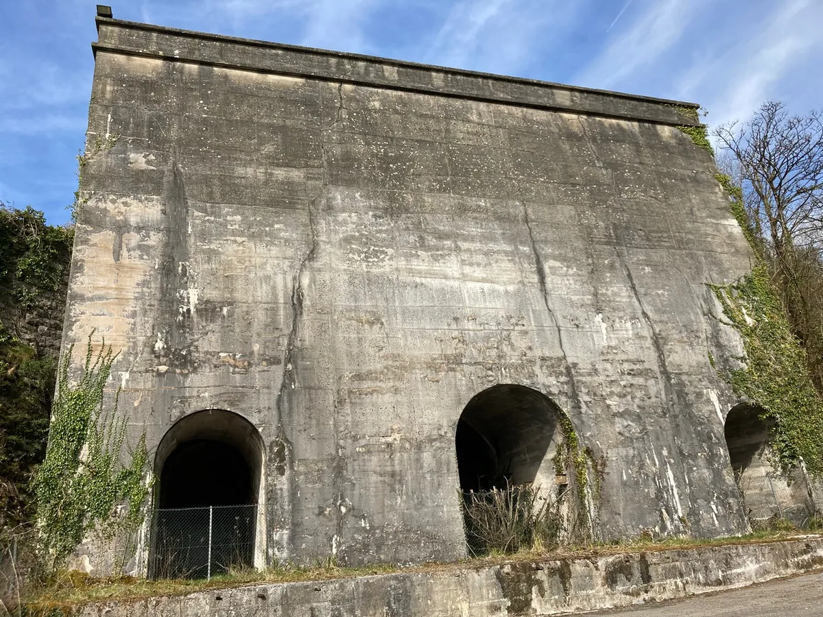 Gallery image