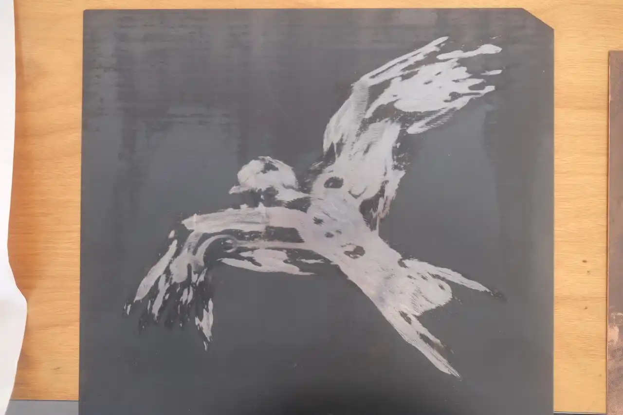 Y Barcud Coch (Red kite)